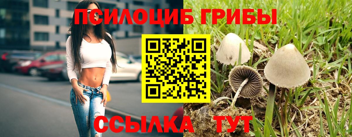Нефтеюганск  Псилоцибиновые грибы Psilocybe  Вход с VPN  Галлюциногенные грибы Magic Shrooms 